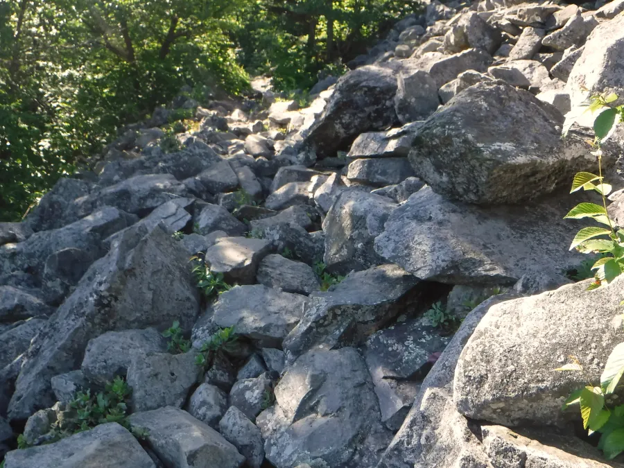 Scree field