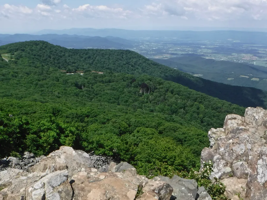 View from Stony Man Mountain