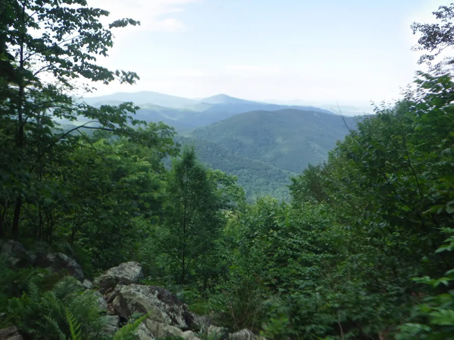 View near Mary's Rock