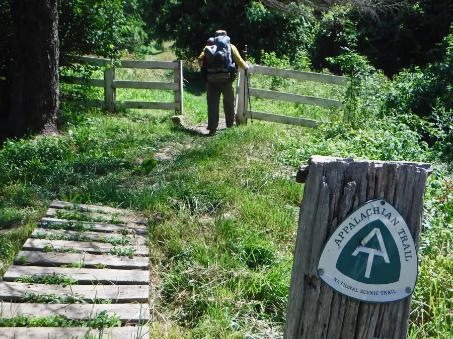 Entering Trumbo Hollow