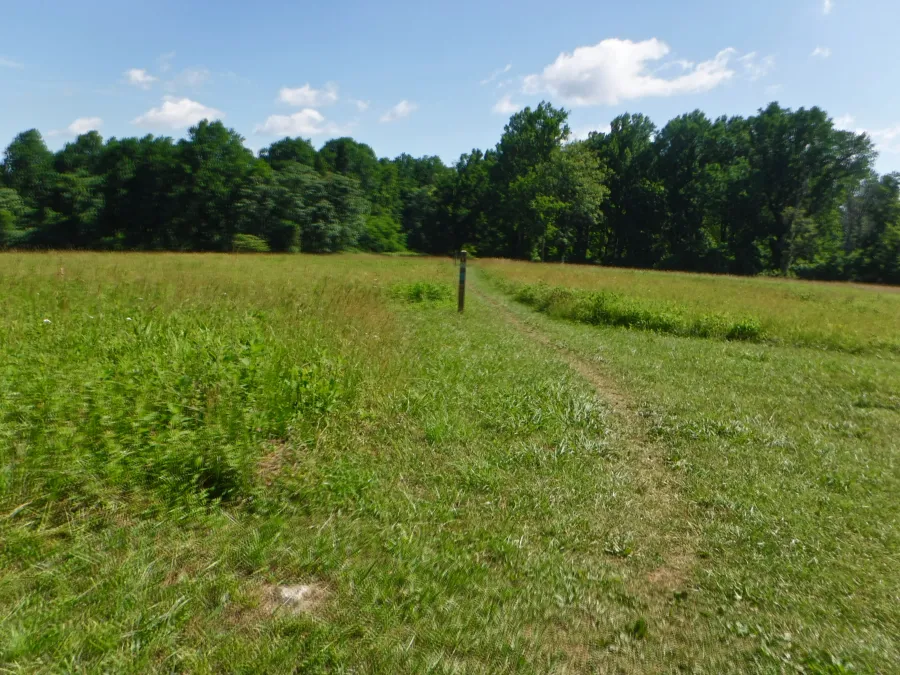Meadow at Sky Meadows State Park