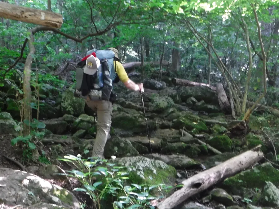 Stick scrambles over rocks