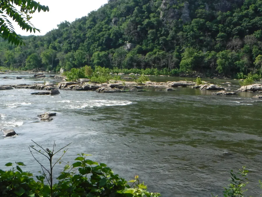 Potomac River