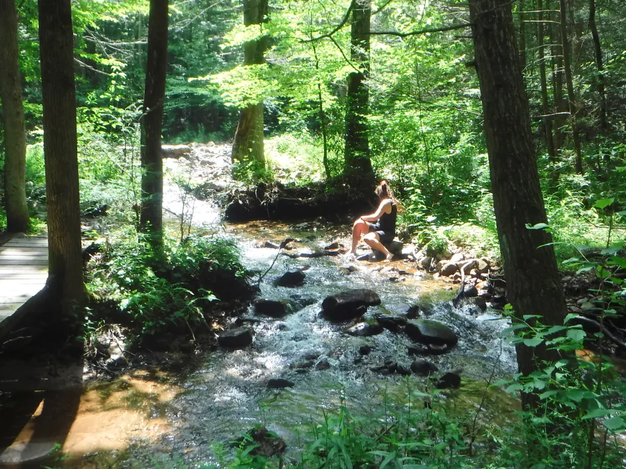 RedEye by a stream