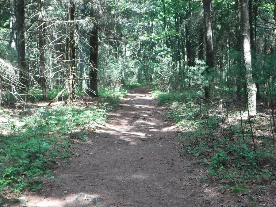 Wide trail