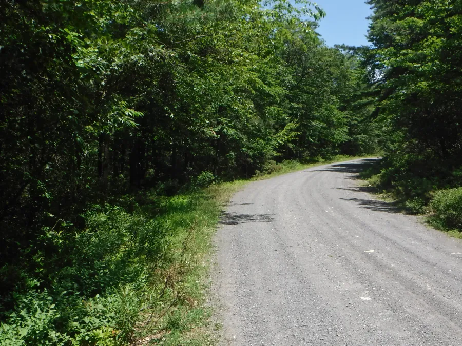 Gravel road crossing