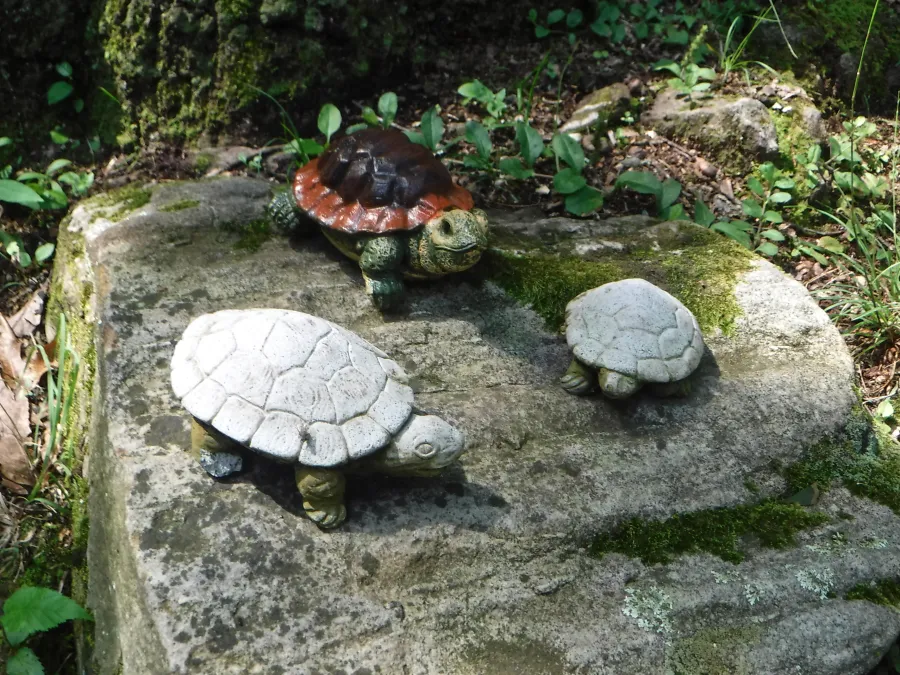 Quarry Gap Shelter turtle figurines