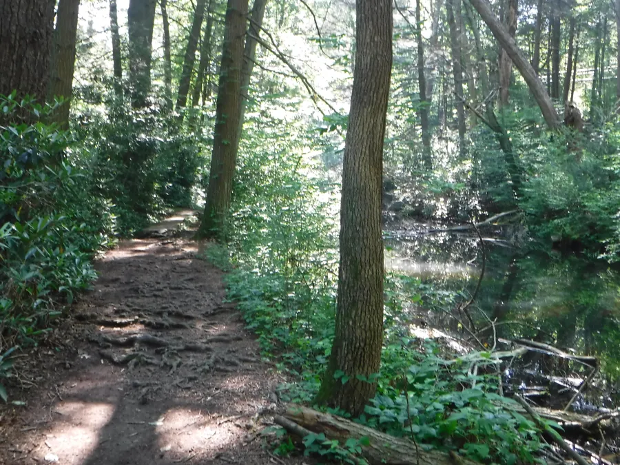 Trail next to stream in Caledonia State Park