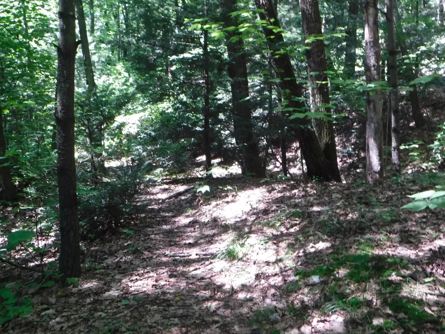 Trail leading to Rausch Gap