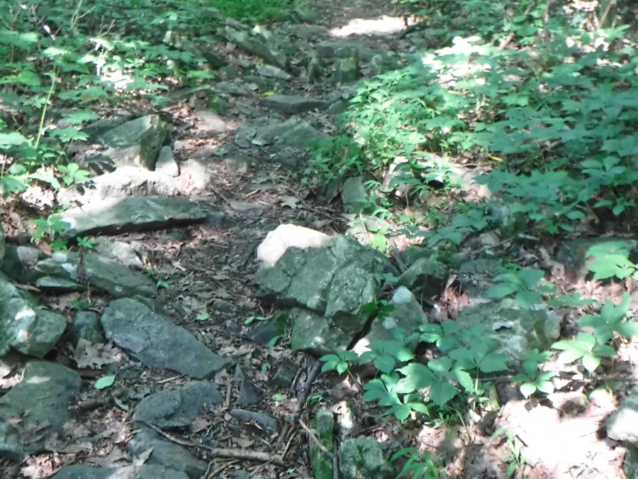 rocky trail