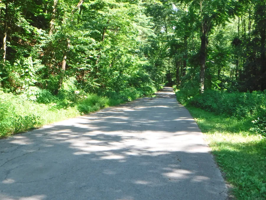 Old State Road