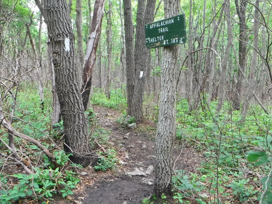 Prescribed burn area