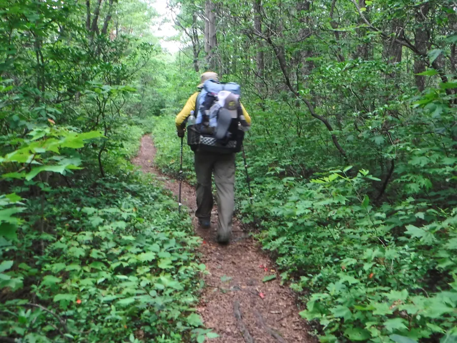 Stick on the trail