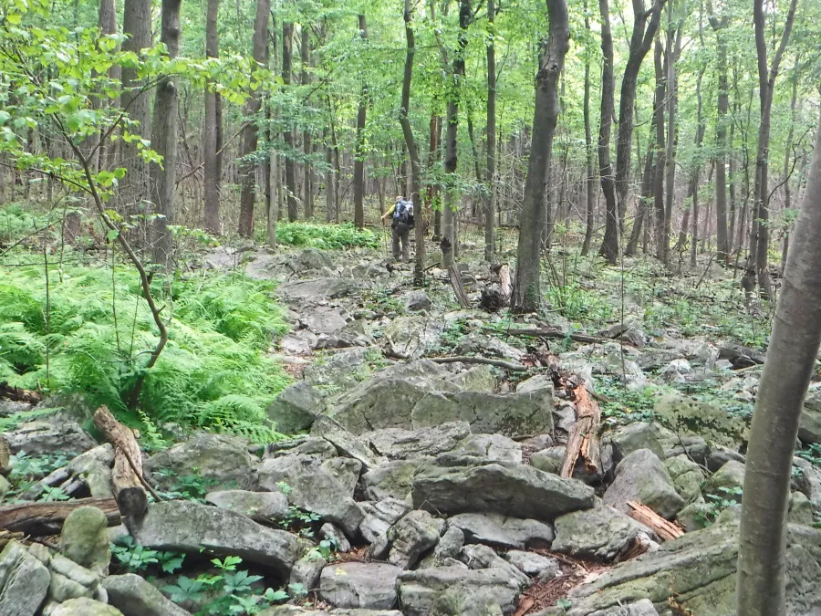 Stick walking on rocks