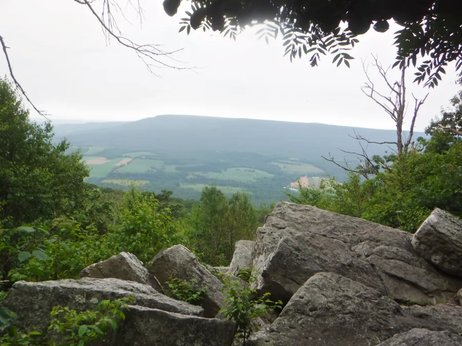 View from Dan's Pulpit