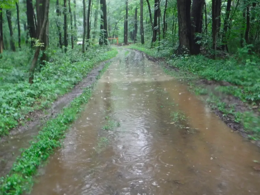 Flooded trail