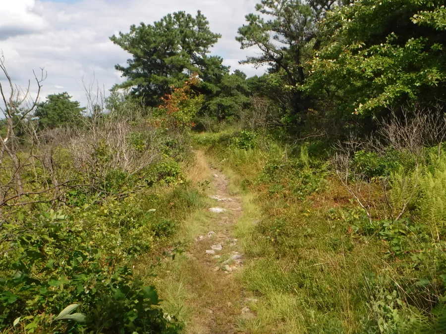 Open mountaintop