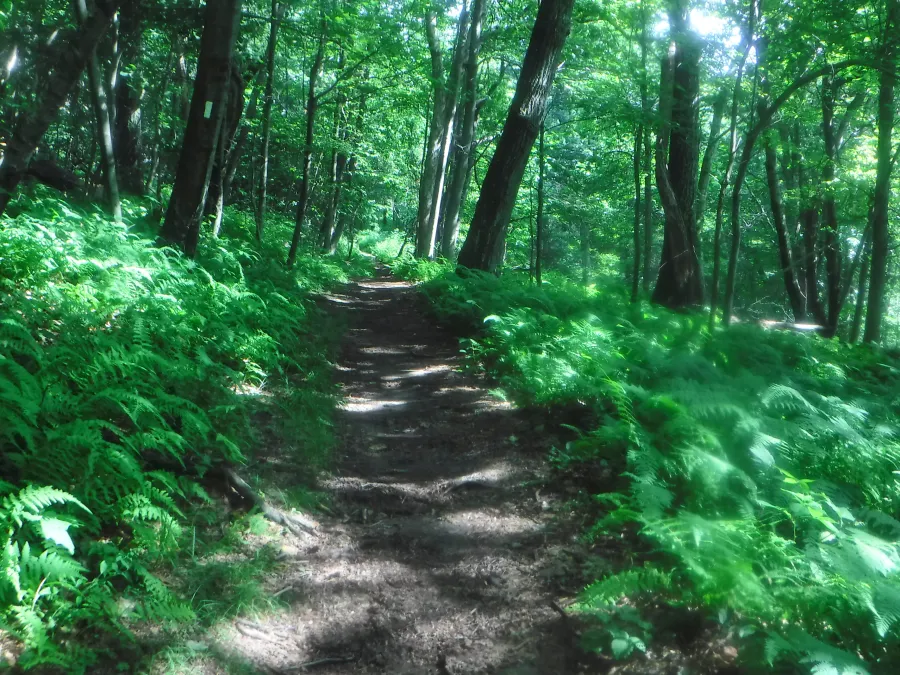 Smooth trail