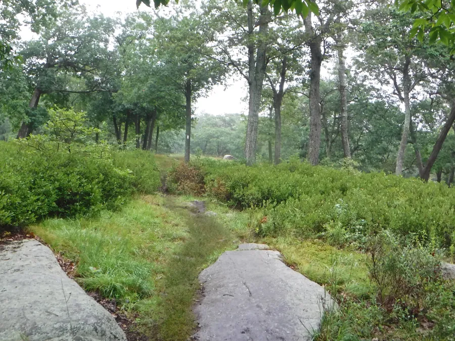 Going over Island Pond Mountain