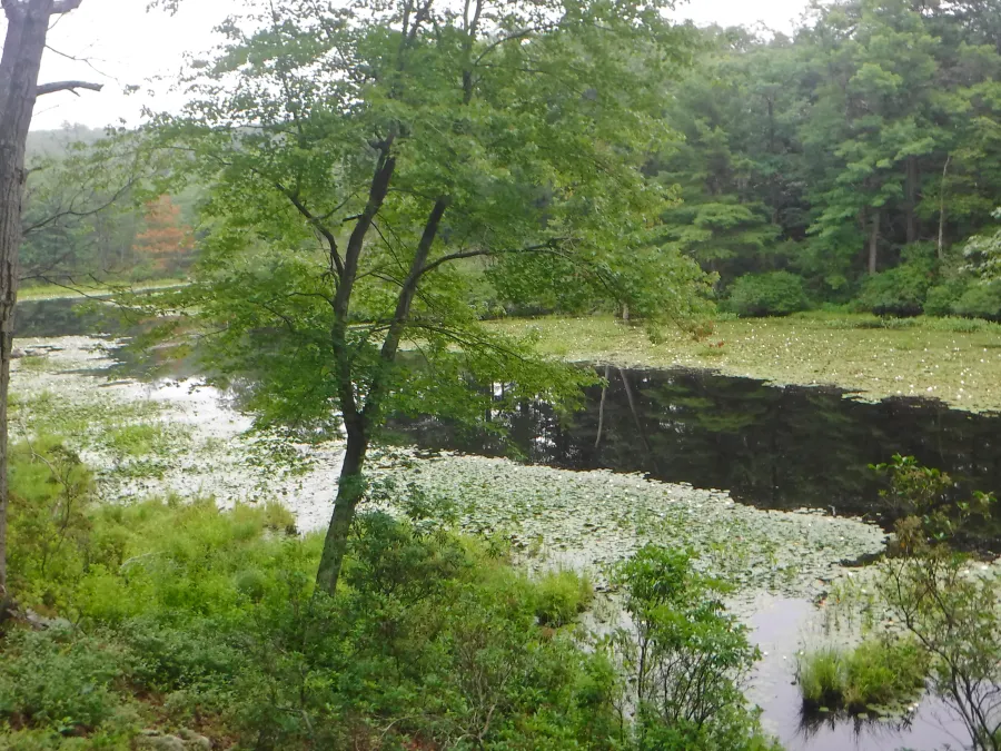 Little Dam Lake