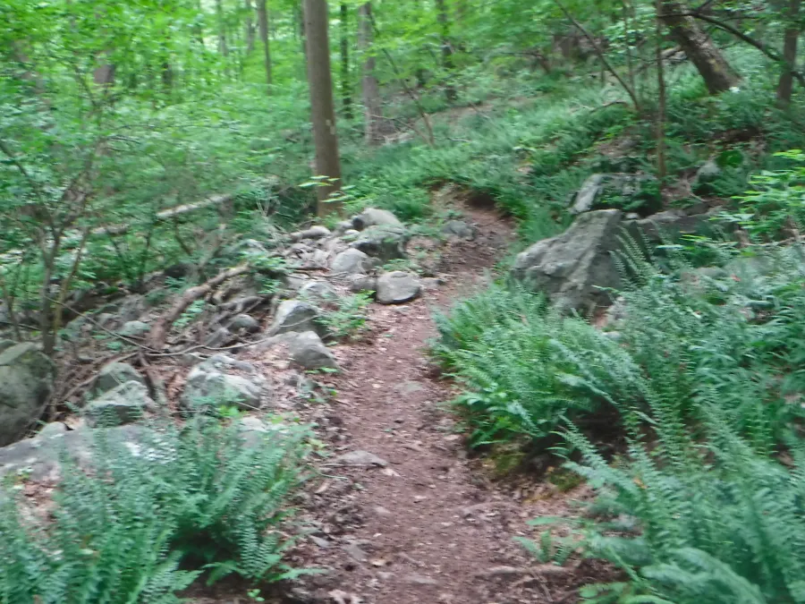 Easy trail