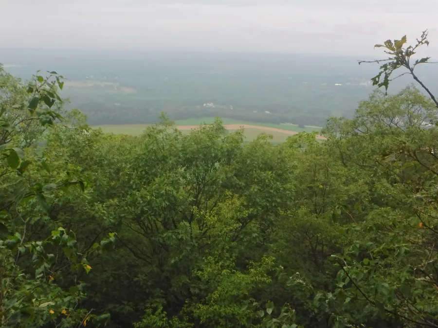 Hazy view