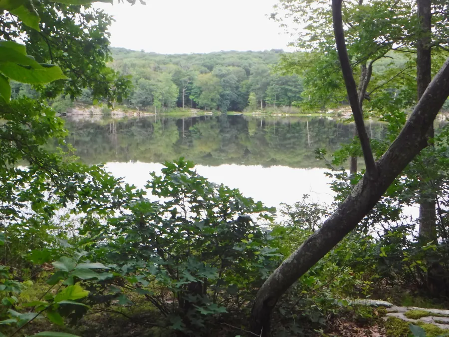 Nuclear Lake