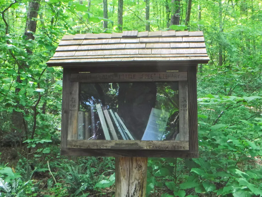 little free library box