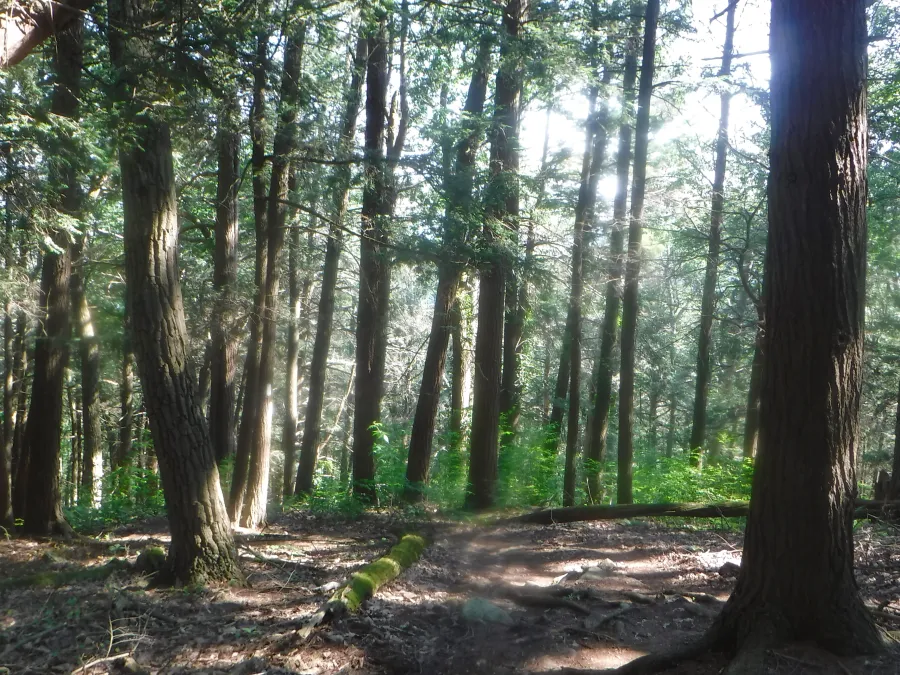 Flat trail