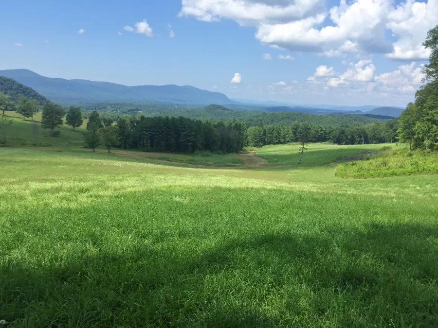 View from Rand's View