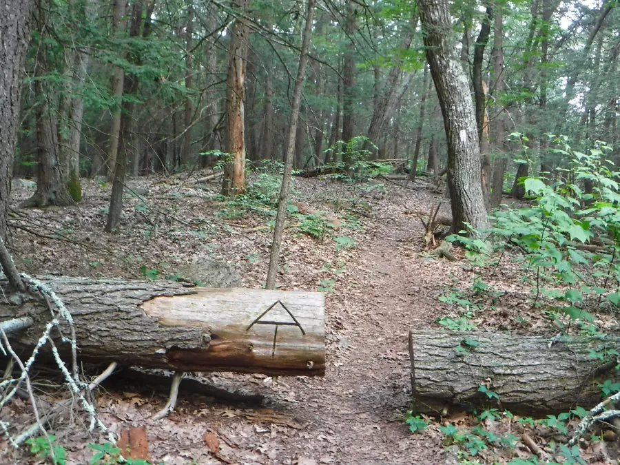Log cut on trail