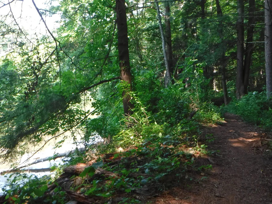 Trail along the Housatonic River