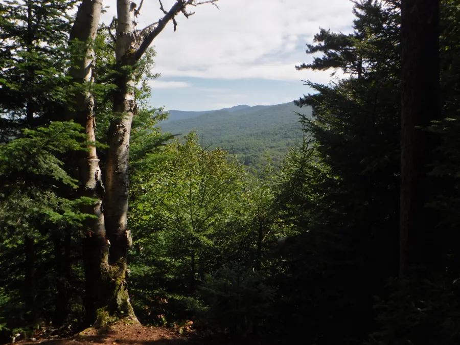 View of Killington Peak