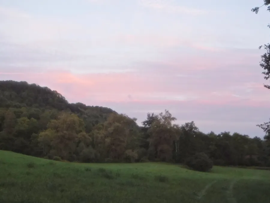 Wide meadow at sunset