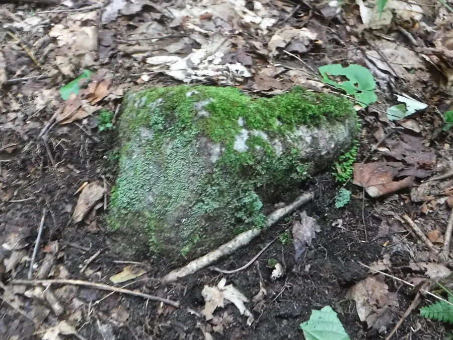 The rock I fell on