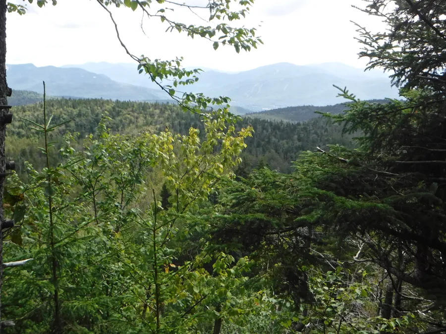 View from near the top of Mt. Wolf