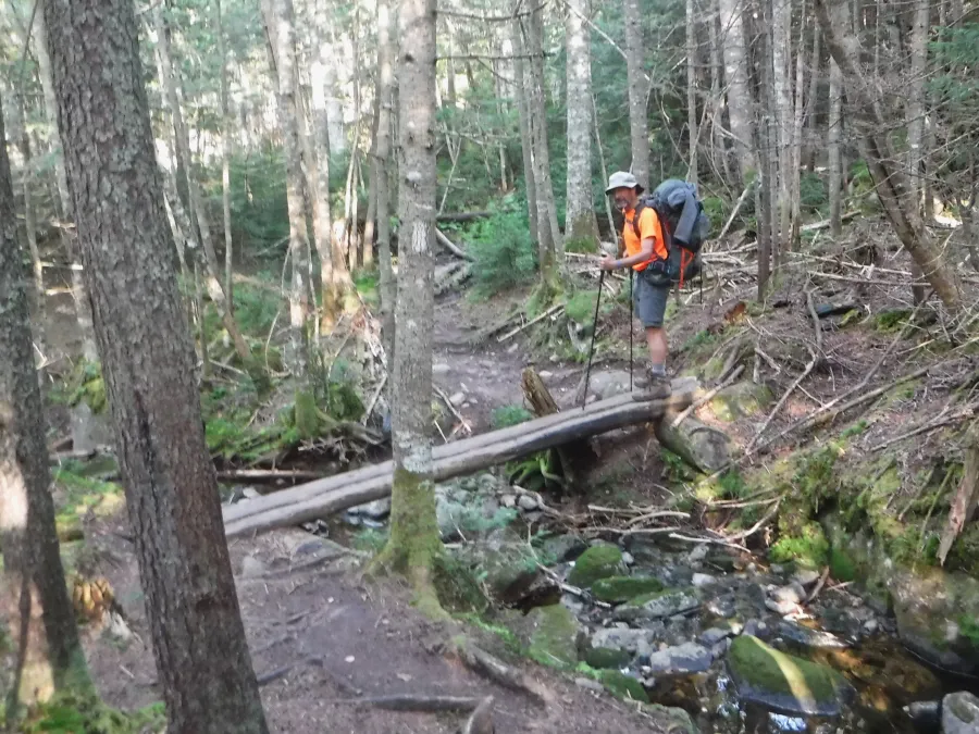 Ralph crosses on a log bridge