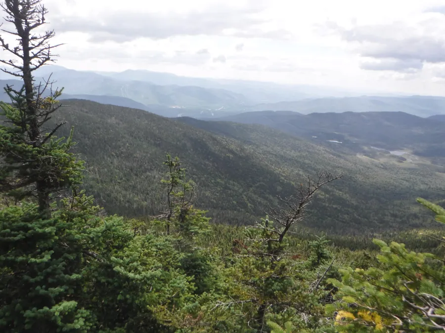 View from South Kinsman Mountain