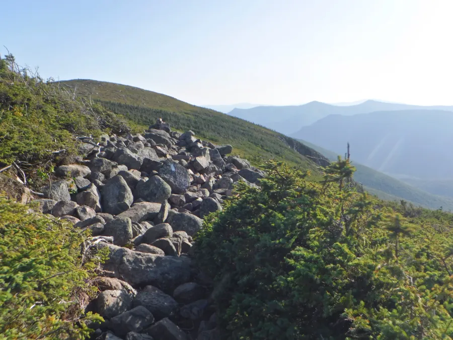 Mt. Guyot
