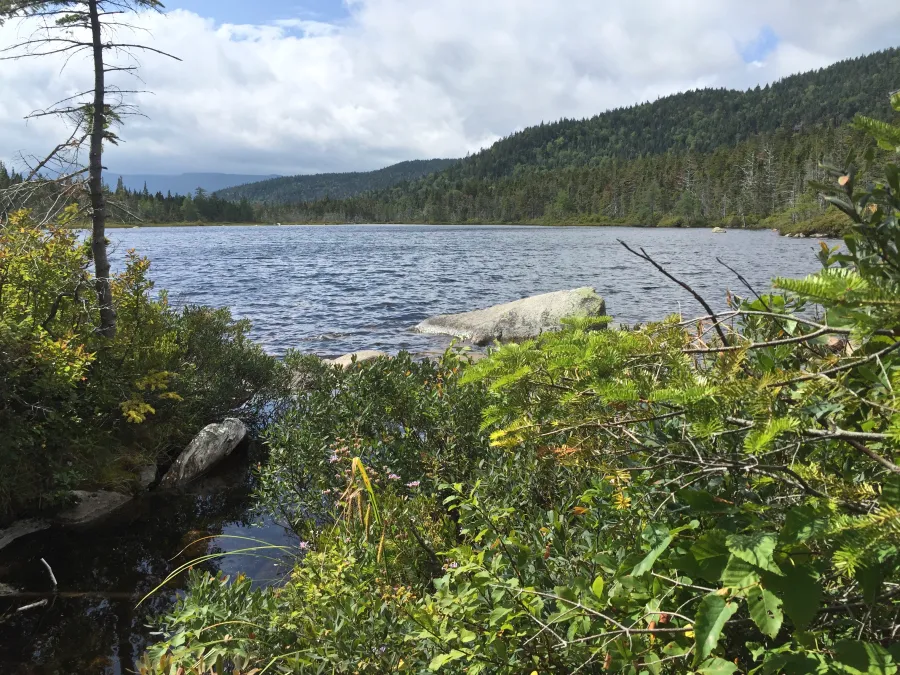 Ethan Pond