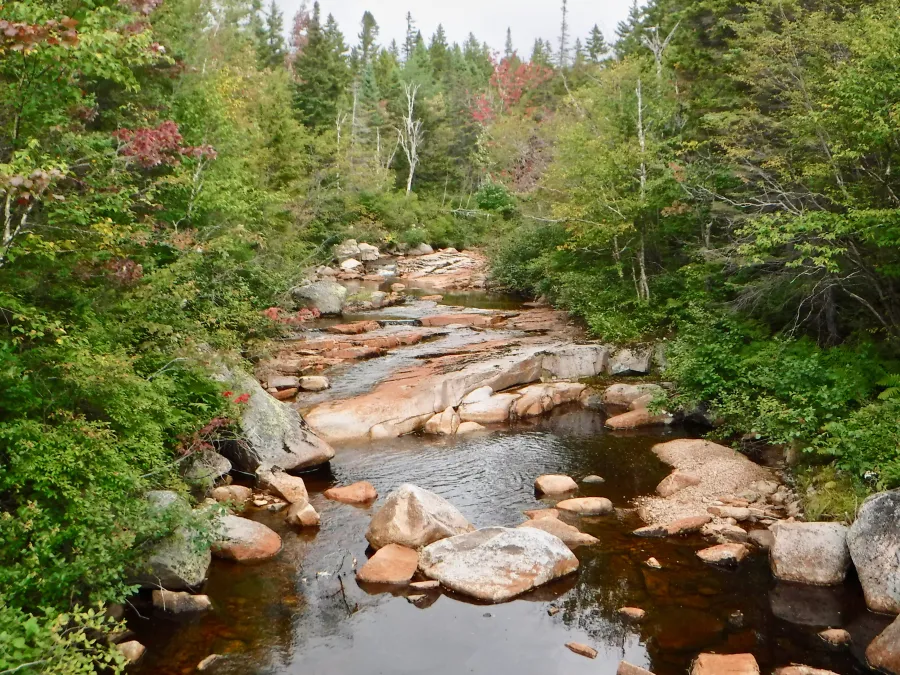 North Fork of the East Branch of the Pemigewasset River