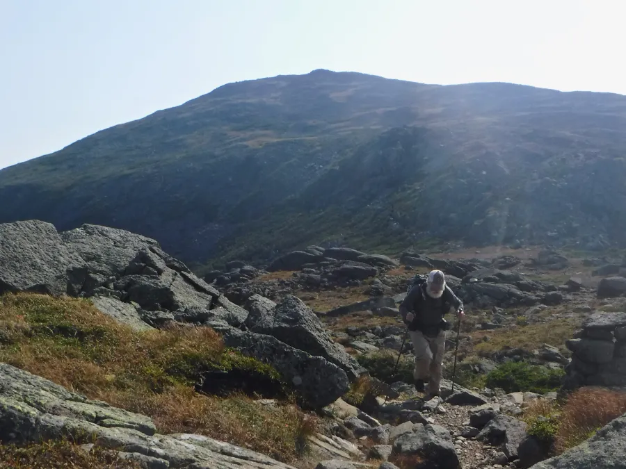 Stick goes up Mt. Adams