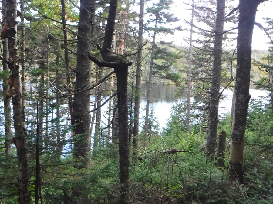 View of Dream Lake