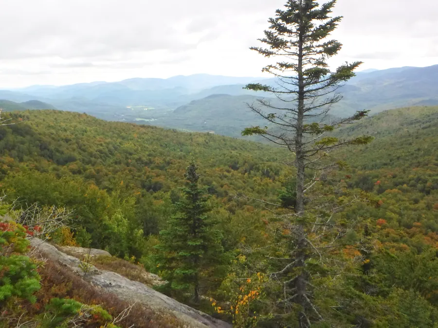 View from ledge