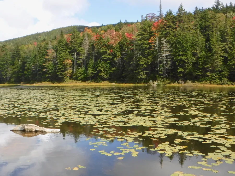 Paga Pond