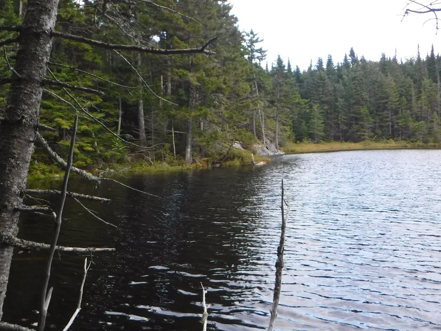Upper Gentian Pond