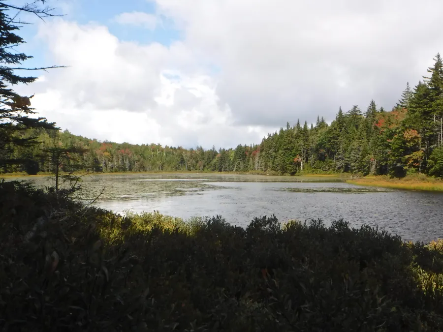 Paga Pond