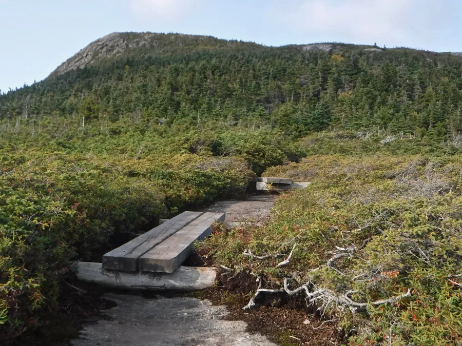 View of Goose Eye Mountain