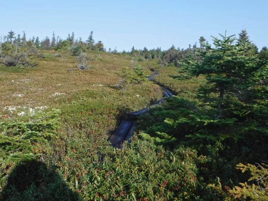 Fulling Mill Mountain
