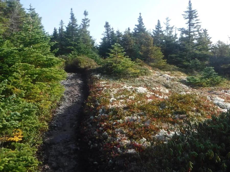 Fulling Mill Mountain